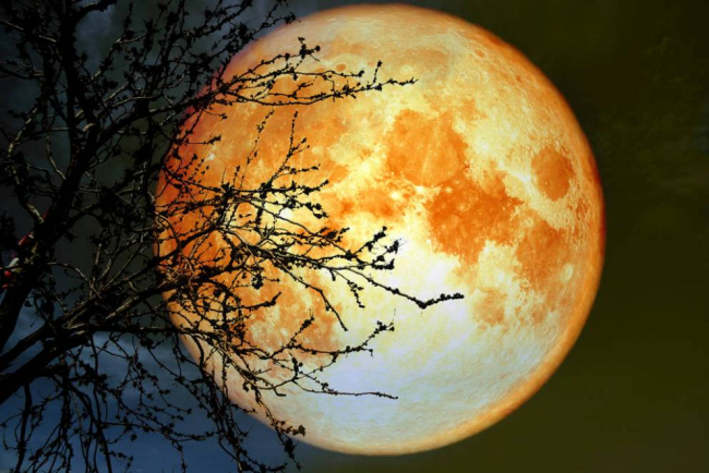 Έκλειψη Σελήνης στον Σκορπιό στις 16 Μαΐου 2022. Προβλέψεις για τα ζώδια.